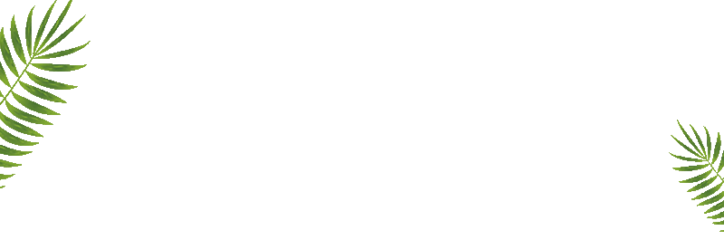 7.png