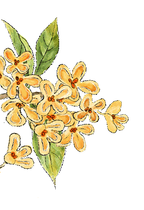2.gif